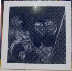 CLAIR OBSCUR – C.O.I.T. – A Collection Of Isolated Tracks 1981-1988 LP Box Set (VOD 41) (4iB&nbsp;Records)