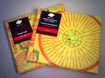 HH:PA - Cryptic Void CD (Yellow Cover) (Resized)