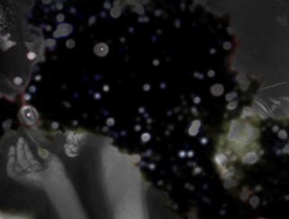 cyclobe-berlin-ctm-festival-2014