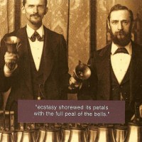 Steve Roden ‎– Ecstasy Showered Its Petals With The Full Peal Of The Bells