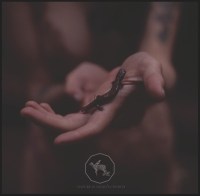 Theologian + The Vomit Arsonist ‎– Nature Is Satan's Church