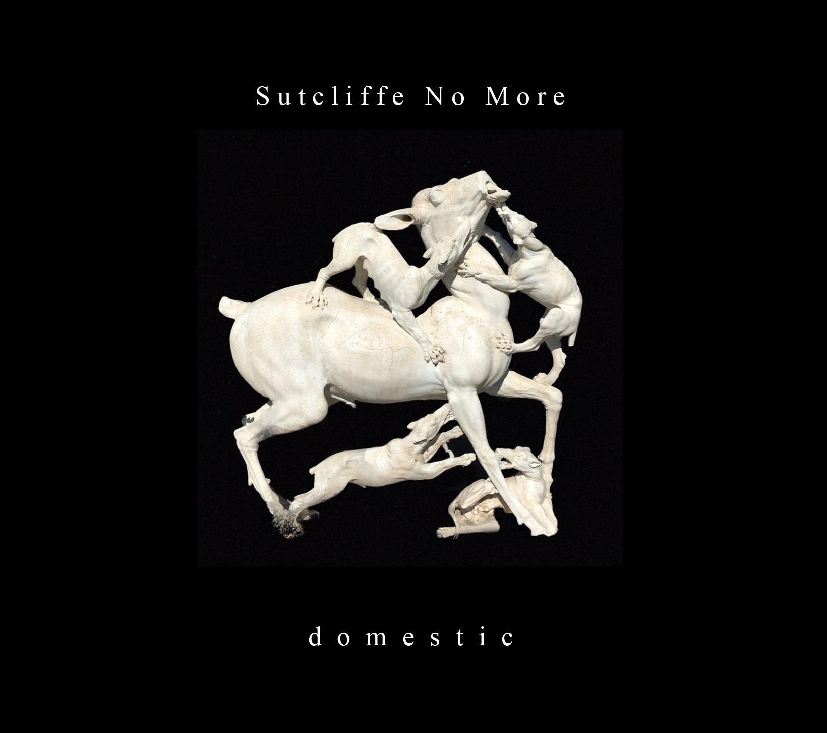 SNM Domestic Outer Cover Art