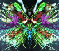 Merzbow ‎– Hermerzaphrodites